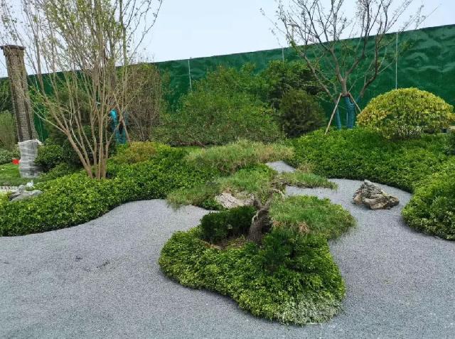 巨野新晋网红打卡地...国风殿堂级营销中心盛大开放！尽显王者风范。