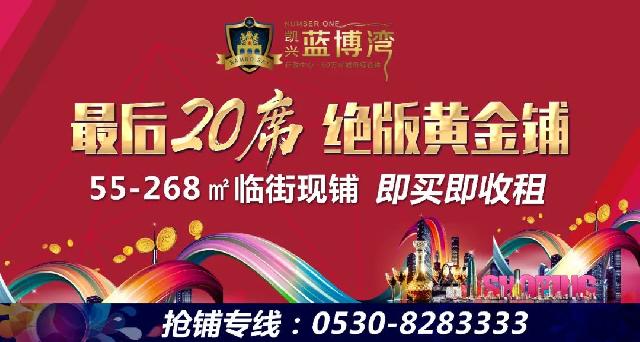年关将至，【蓝博湾】感恩回馈，现房清盘 特推出12套特价房源，感谢新老业主对蓝博湾的支持！