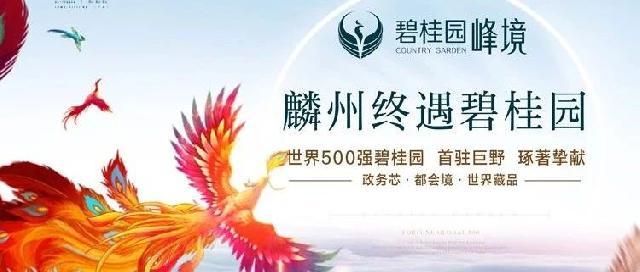 麟州终遇碧桂园 世界500强碧桂园，首驻巨野，琢著挚献！