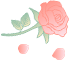 华鹏·麟珑印丨献礼女神节！