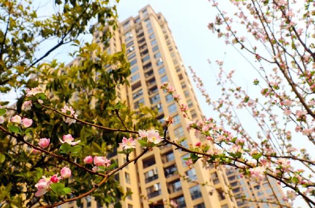 现房生活无需等待！春暖花开，来麟泰花园遇鉴美好