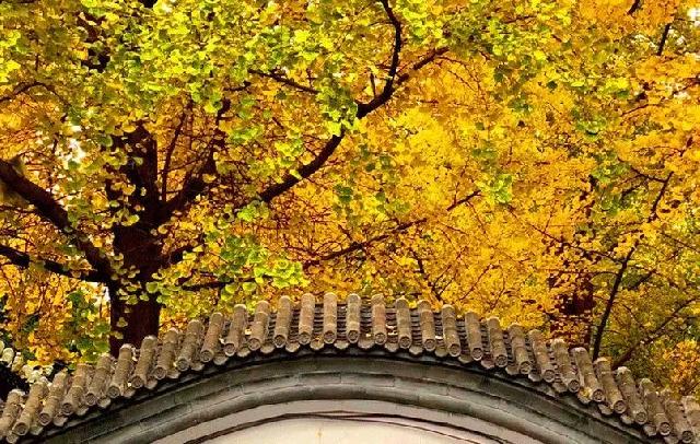 10月家书 | 执笔著锦秋 家音慰君心