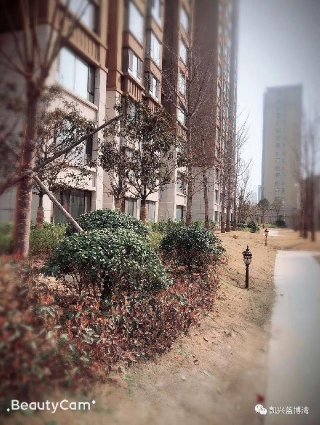 【蓝博湾】现房清盘特惠，沿街现铺、loft公寓、车库、储藏室，超低价发售，仅此一次！