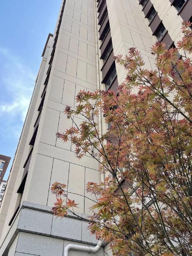 五一假期不旅游，凯兴学府书海游丨凯兴学府首届图书交换公益课堂，五一开课了，欢迎大家报名！更有意外惊喜哟！！