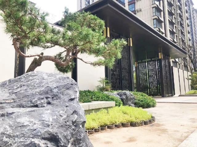 凯兴学府 | 一楼庭院花园，幸福生活由此开启！