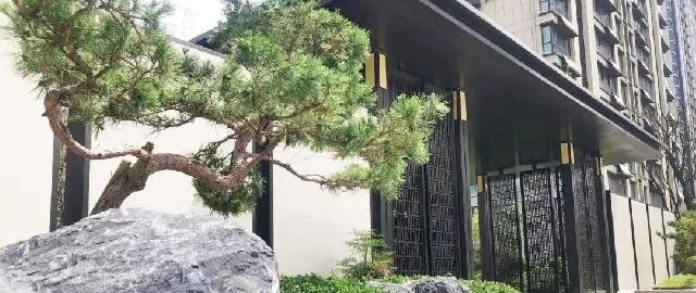 凯兴学府 | 一楼庭院花园，幸福生活由此开启！
