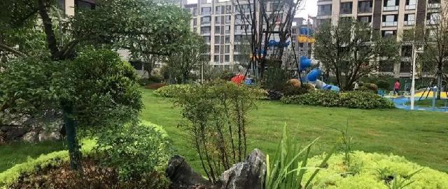 凯兴学府 | 巨野“醉”美实景现房，以品质征服挑剔眼光！