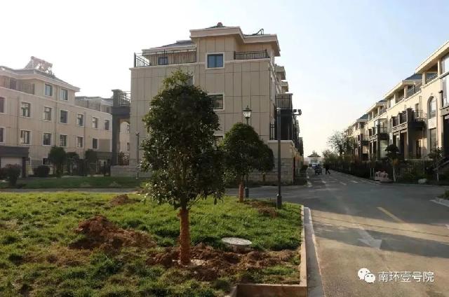 【南环壹号院】二期绿化、工程建设稳步推进中【实时播报】