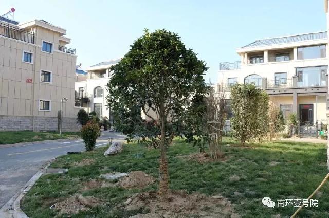 【南环壹号院】二期绿化、工程建设稳步推进中【实时播报】