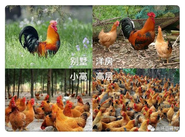 hi，您买的楼房公摊大吗？住的舒适吗？