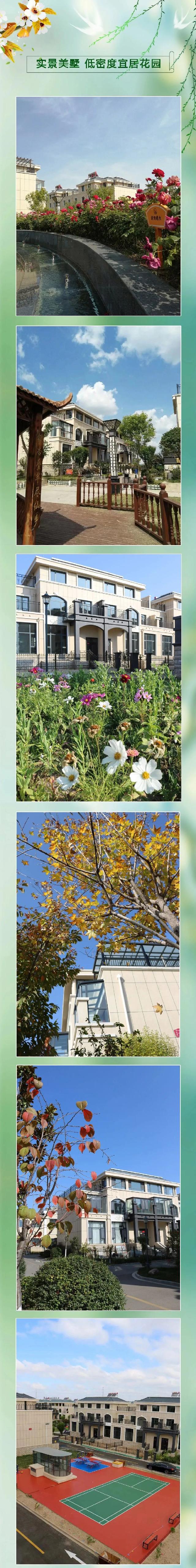 君子择雅而居 | 院落中的文人气节