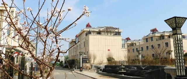 南环壹号院，群芳斗艳 | 春天的宅院 如此美好