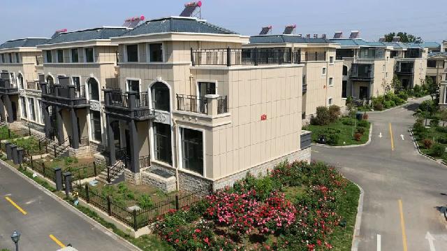 盛花期 | 玫瑰、月季、蔷薇竞相斗艳 【南环壹号院】多彩花海 美不胜收