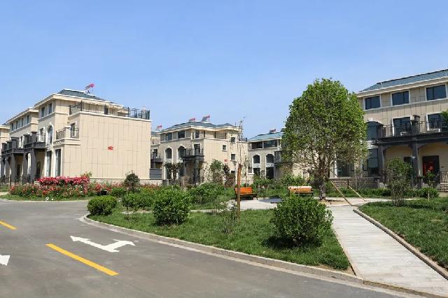 盛花期 | 玫瑰、月季、蔷薇竞相斗艳 【南环壹号院】多彩花海 美不胜收