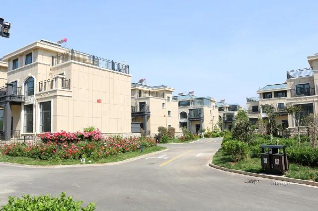 盛花期 | 玫瑰、月季、蔷薇竞相斗艳 【南环壹号院】多彩花海 美不胜收