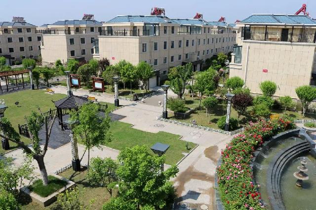 盛花期 | 玫瑰、月季、蔷薇竞相斗艳 【南环壹号院】多彩花海 美不胜收