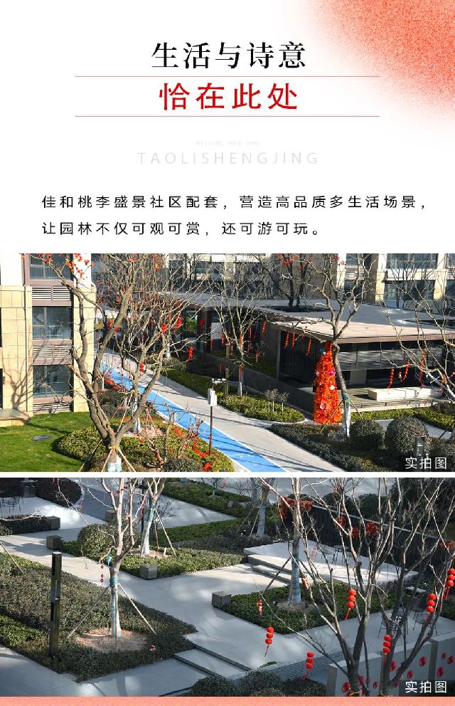 佳和桃李盛景丨全盘交付 开启美好生活