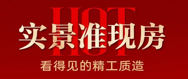 百盛·书香樾府 | 实景准现房,今年买今年住,看得见的精工质造!