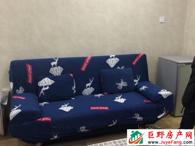 佳和国际公寓 1室1厅 45平米 精装修 1000元/月