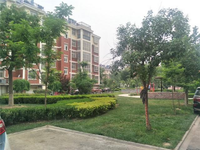 实景图 实景图