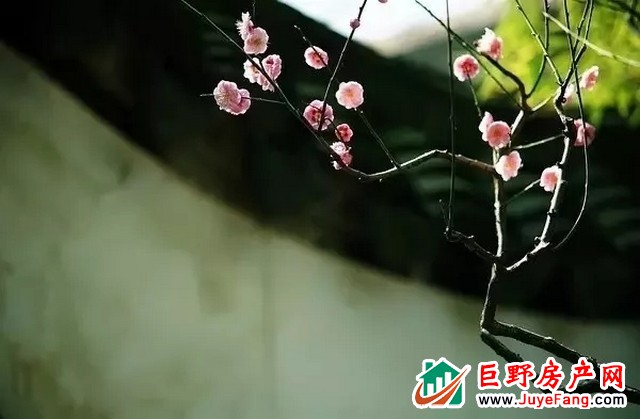 世纪万悦城 | 等一场春雨，与您共赏一片春暖花开