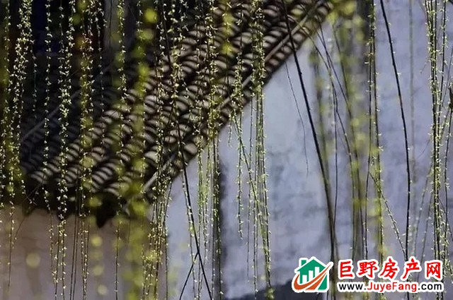 世纪万悦城 | 等一场春雨，与您共赏一片春暖花开