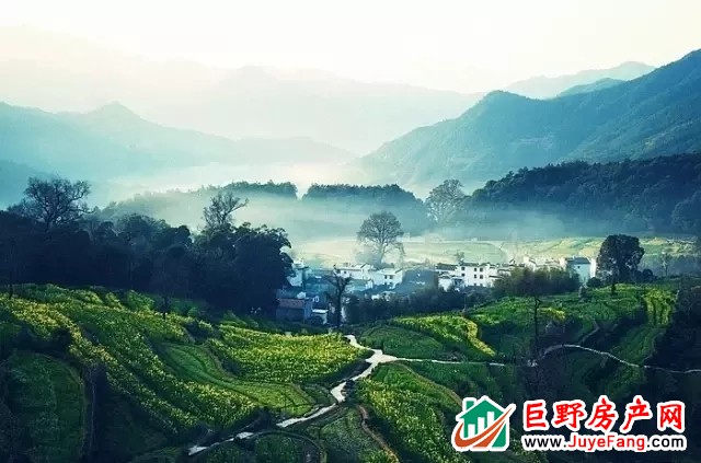 世纪万悦城 | 等一场春雨，与您共赏一片春暖花开