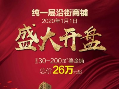 上海现代城 | 沿街商铺，元旦盛大开盘，紧邻新中医院，新佳和旁