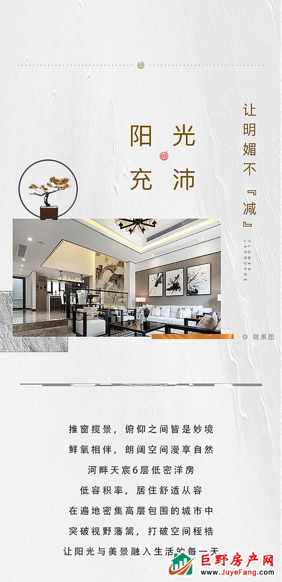 最后的臻藏，压箱底10号楼，盛大认筹！