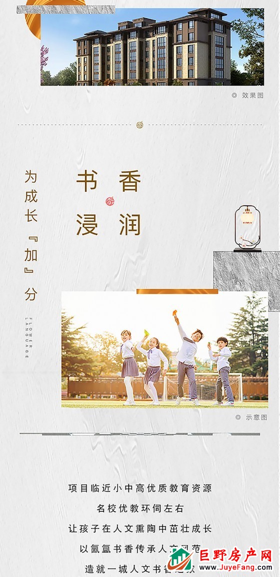 最后的臻藏，压箱底10号楼，盛大认筹！