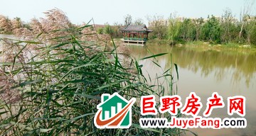 凯兴学府 | 回归自然的生态栖居,亲近公园诗意生活!
